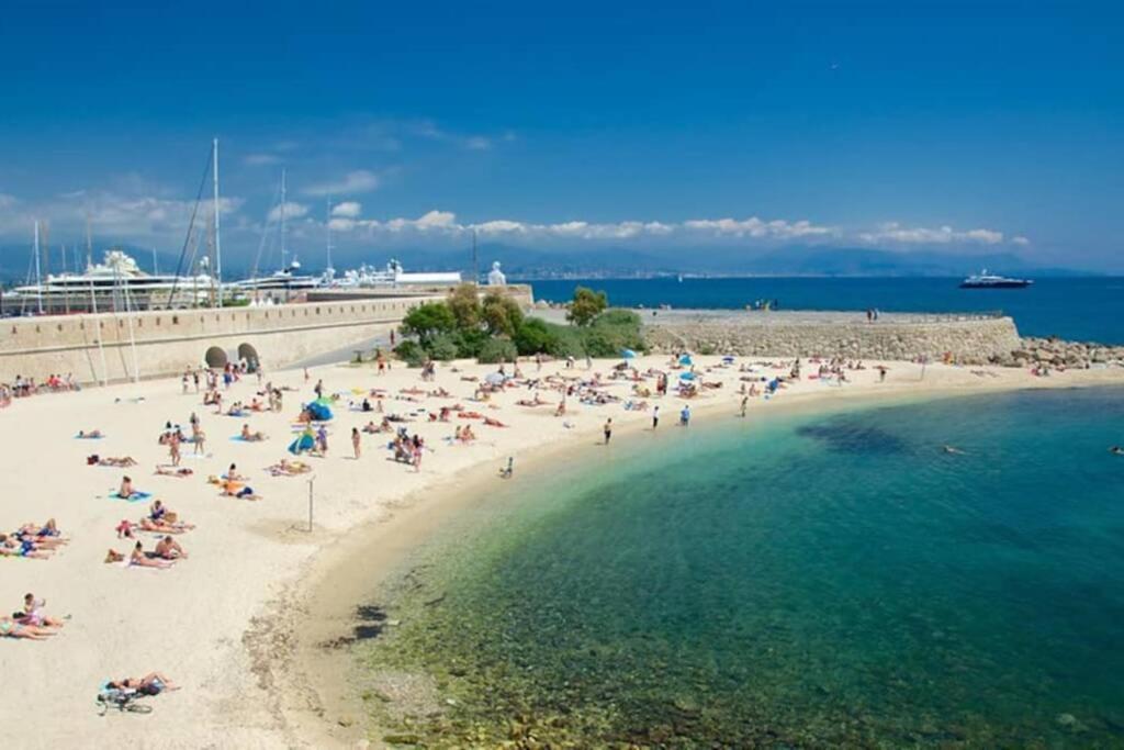 New - 2 Pieces Vieil Antibes - Marche Provencal公寓 外观 照片